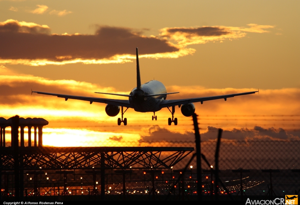 D-AIQN - Airbus A320-211 - Lufthansa