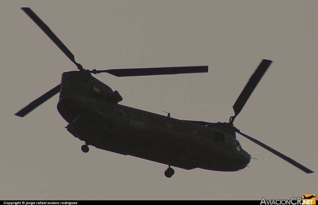89-00132 - Boeing CH-47D Chinook - Armada de Estados Unidos