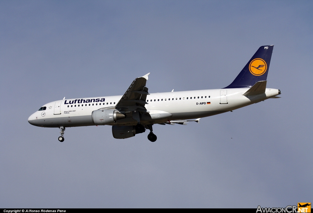 D-AIPD - Airbus A320-211 - Lufthansa