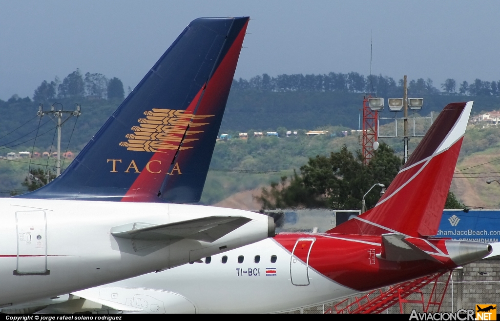 N477TA - Airbus A319-132 - TACA