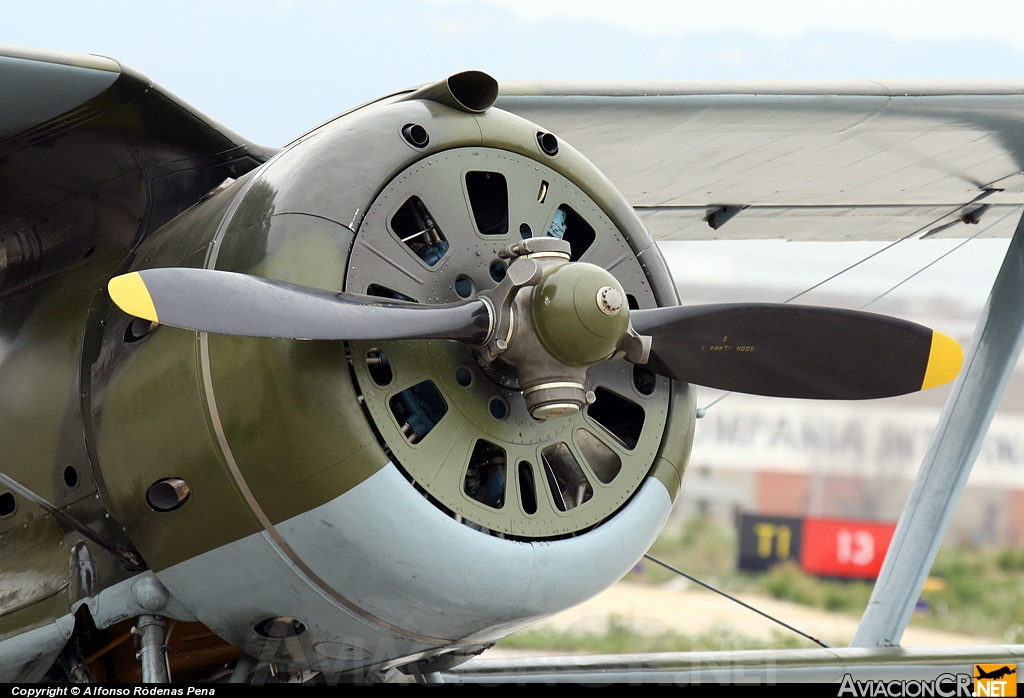 ZK-JKM - Polikarpov I-153 Chaika - Privado