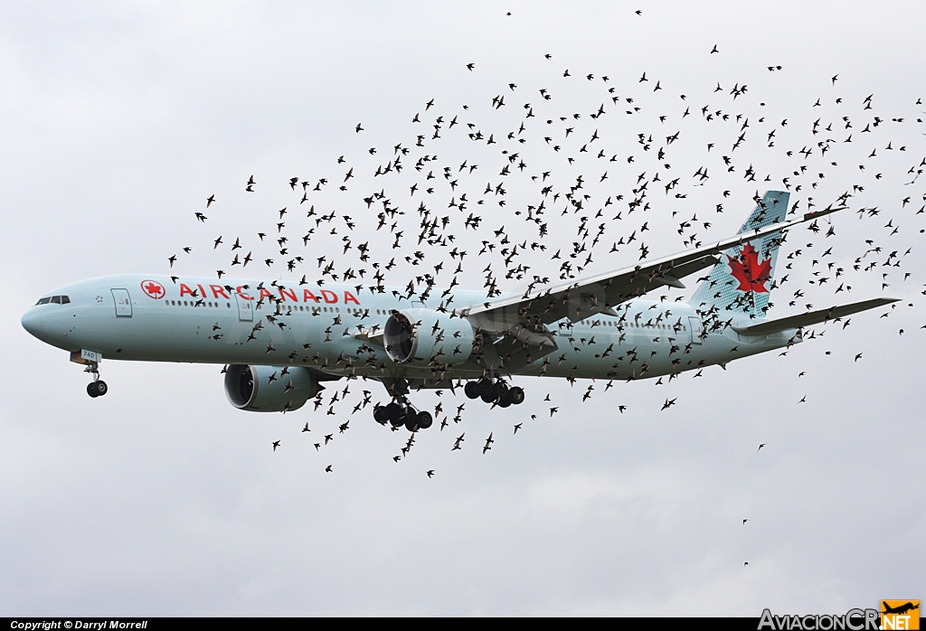 C-FIVQ - Boeing 777-333/ER - Air Canada