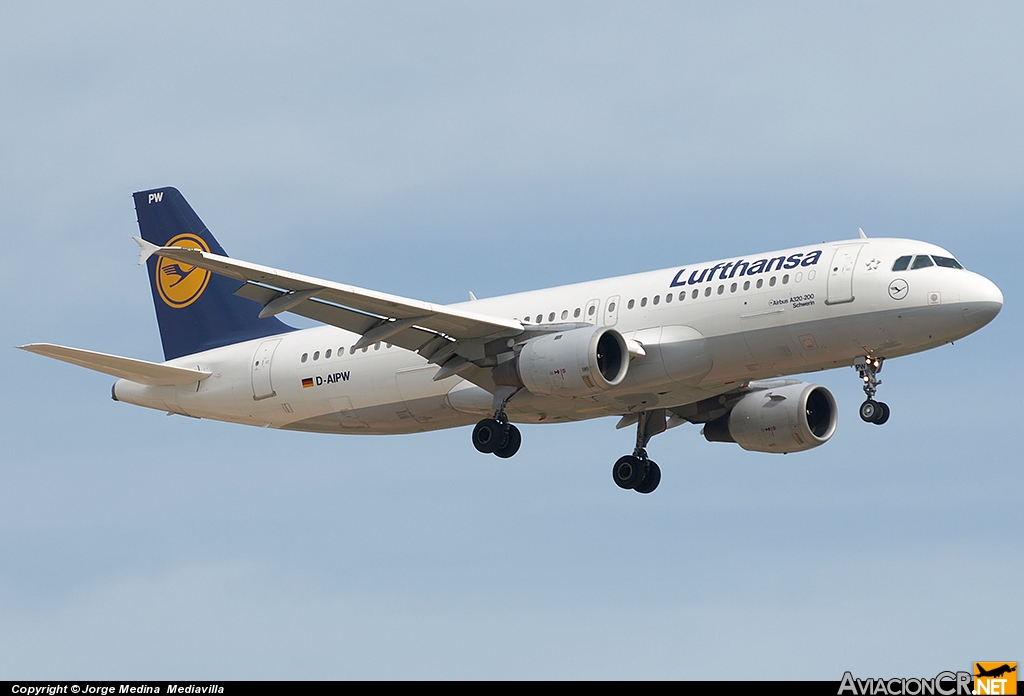 D-AIPW - Airbus A320-211 - Lufthansa
