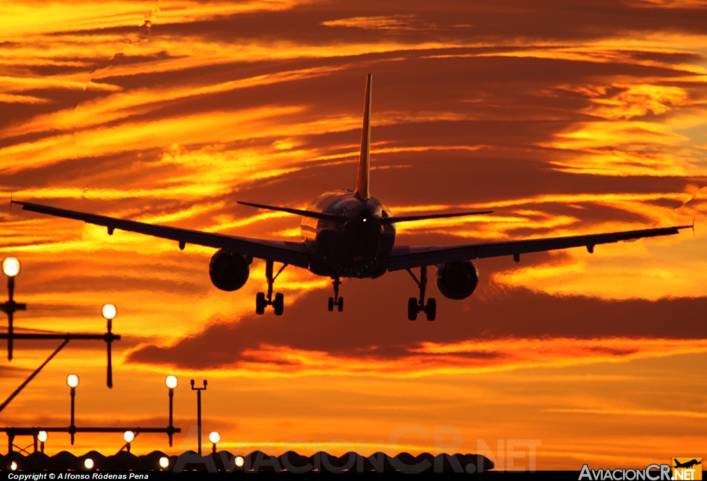 D-AIRP - Airbus A321-131 - Lufthansa