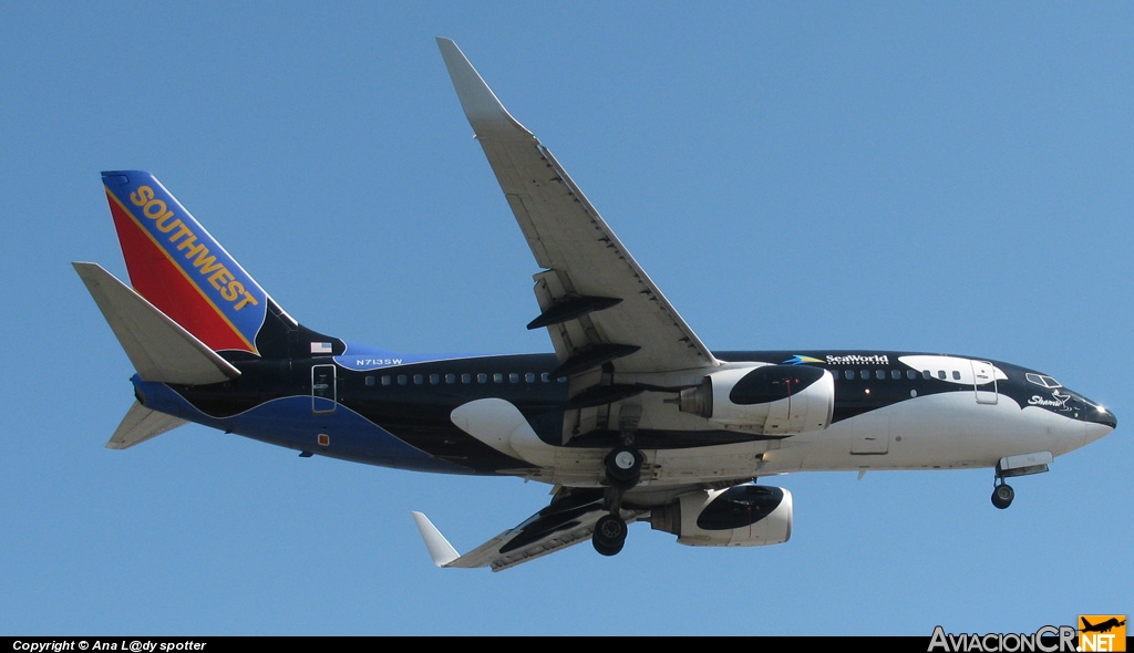 N713SW - Boeing 737-7H4 - Southwest Airlines