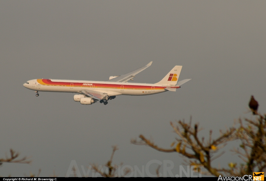 EC-JLE - Airbus A340-642 - Iberia