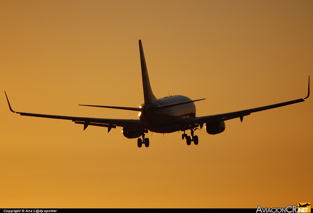 N646SW - Boeing 737-3H4 - Southwest Airlines
