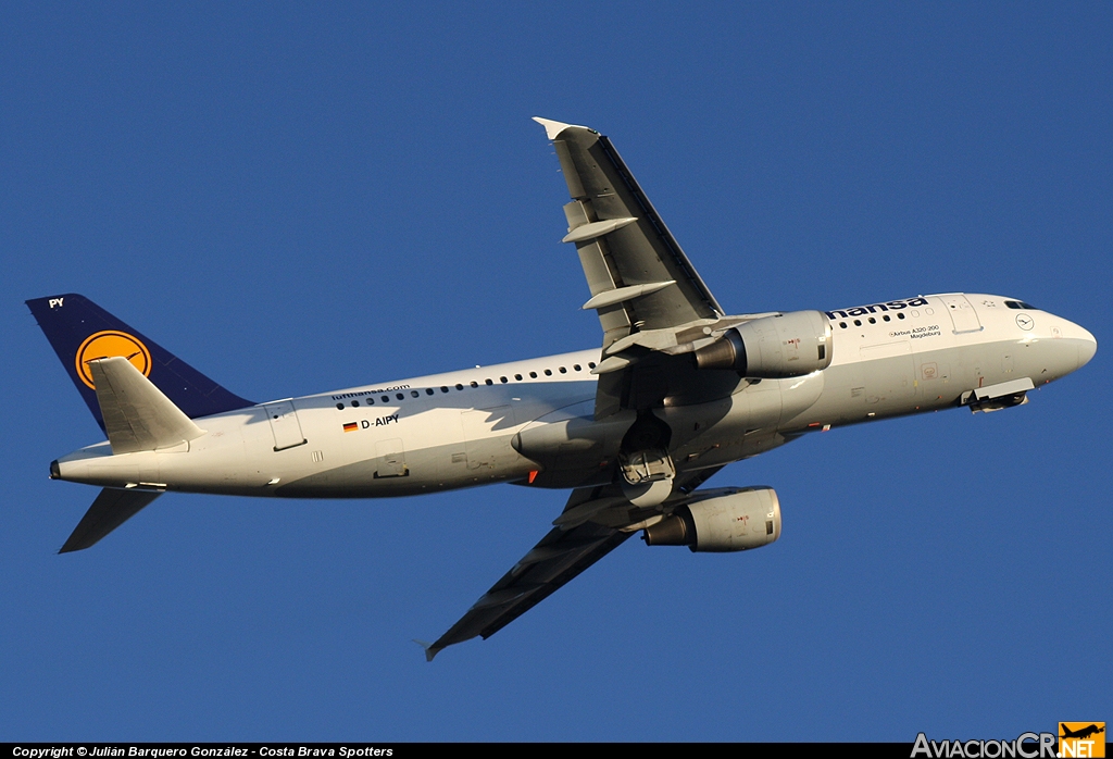 D-AIPY - Airbus A320-211 - Lufthansa