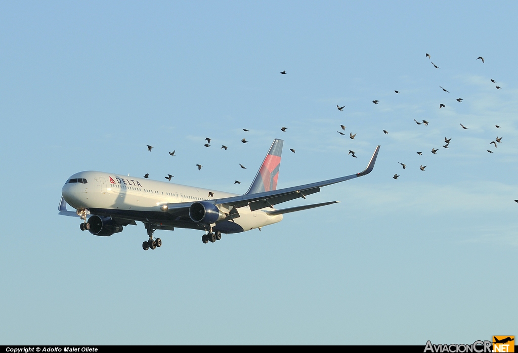 N174DN - Boeing 767-332/ER - Delta Air Lines