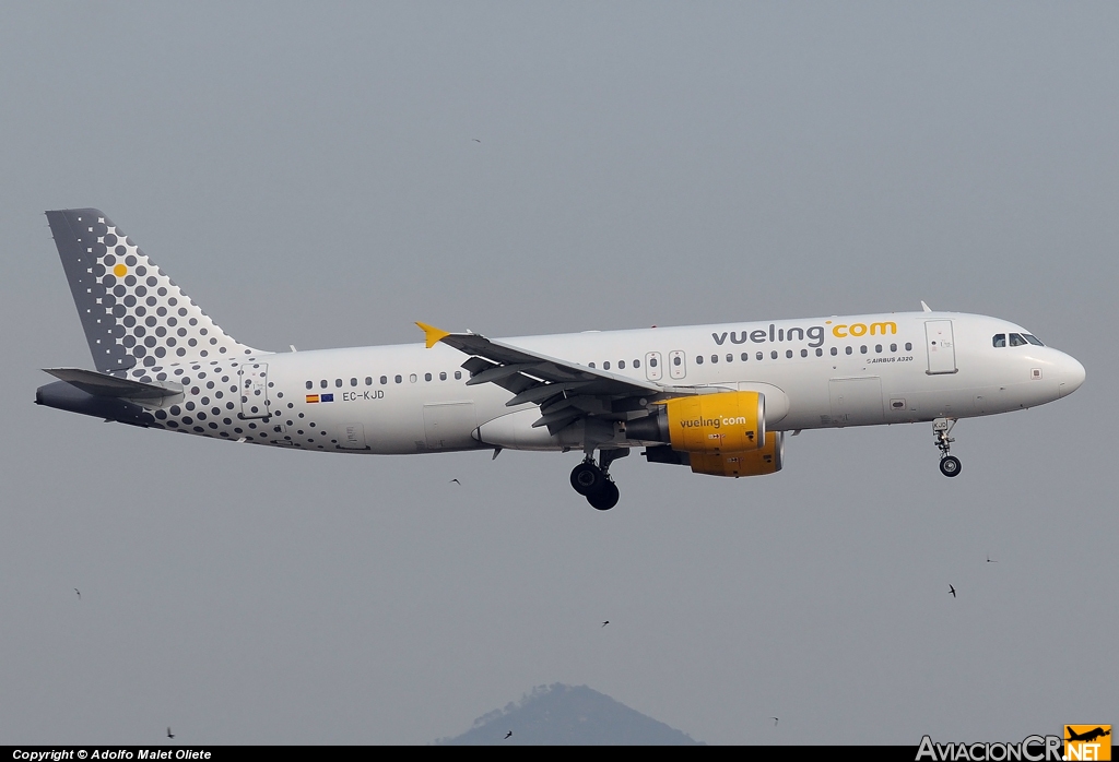 EC-KJD - Airbus A320-216 - Vueling