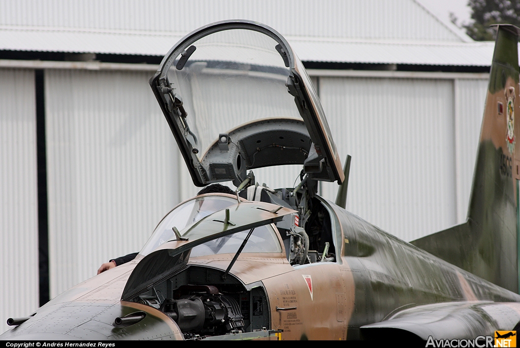 4509 - Northrop F-5E Tiger II - Fuerza Aerea Mexicana FAM