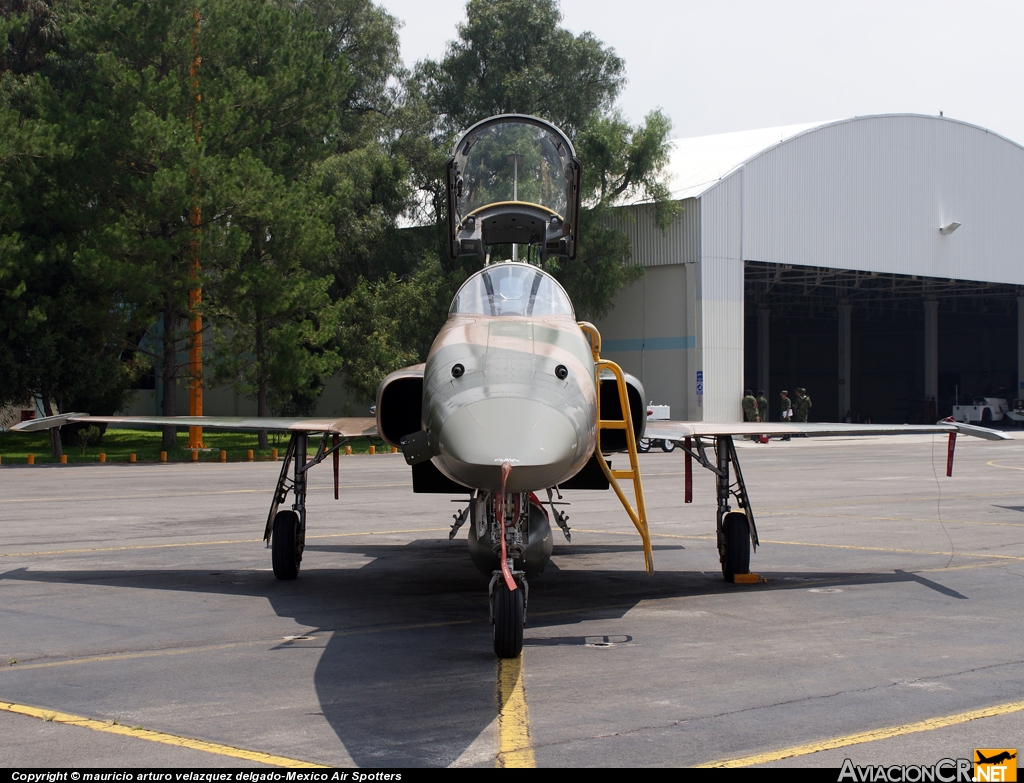 4504 - Northrop F-5E Tiger II - Fuerza Aerea Mexicana FAM