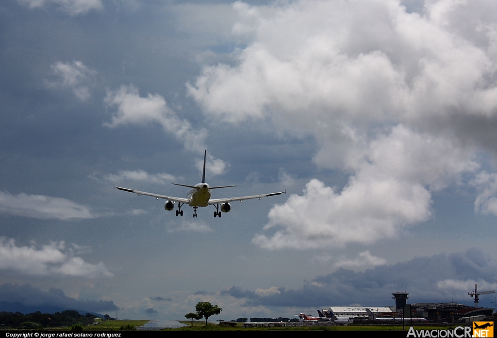 N491TA - Airbus A320-233 - TACA N491TA - Airbus A320-233 - TACA