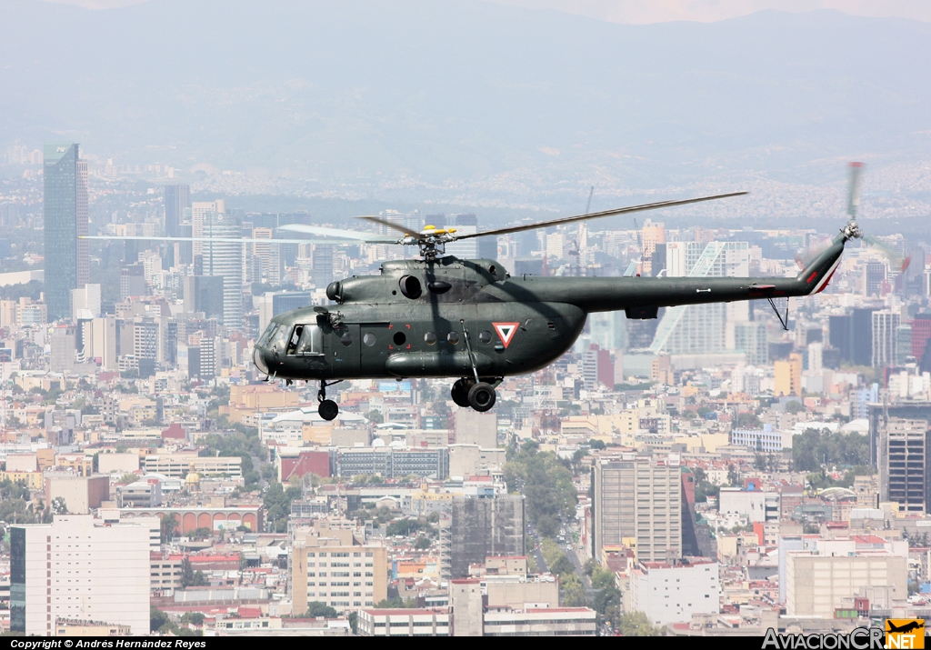 1717 - Mil Mi-17 - Fuerza Aerea Mexicana FAM