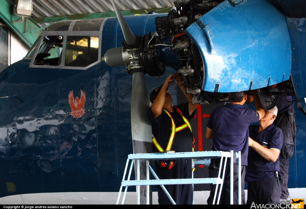 MSP002 - De Havilland Canada C-7A Caribou - Ministerio de Seguridad Pública - Costa Rica