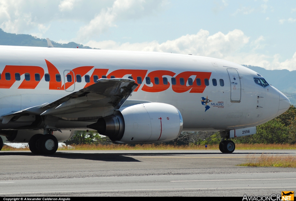 YV2556 - Boeing 737-3G7 - Conviasa