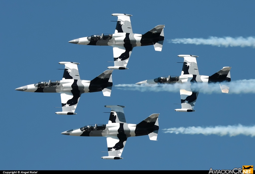 N136EM - Aero L-39C Albatros - Heavy Metal Jet Team N136EM - Aero L-39C Albatros - Heavy Metal Jet Team