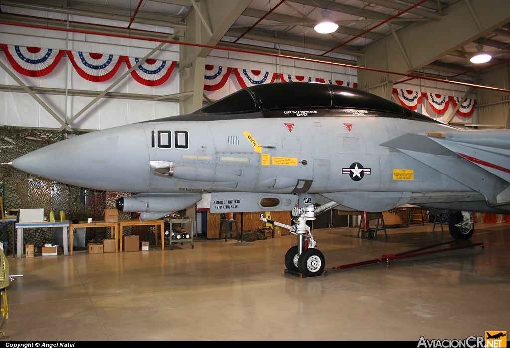 164342 - Grumman F-14D Tomcat - USA - Navy