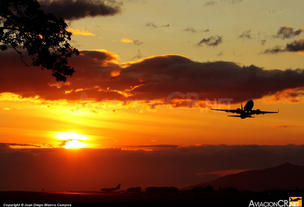 HP-1369CMP - Boeing 737-71Q - Copa Airlines