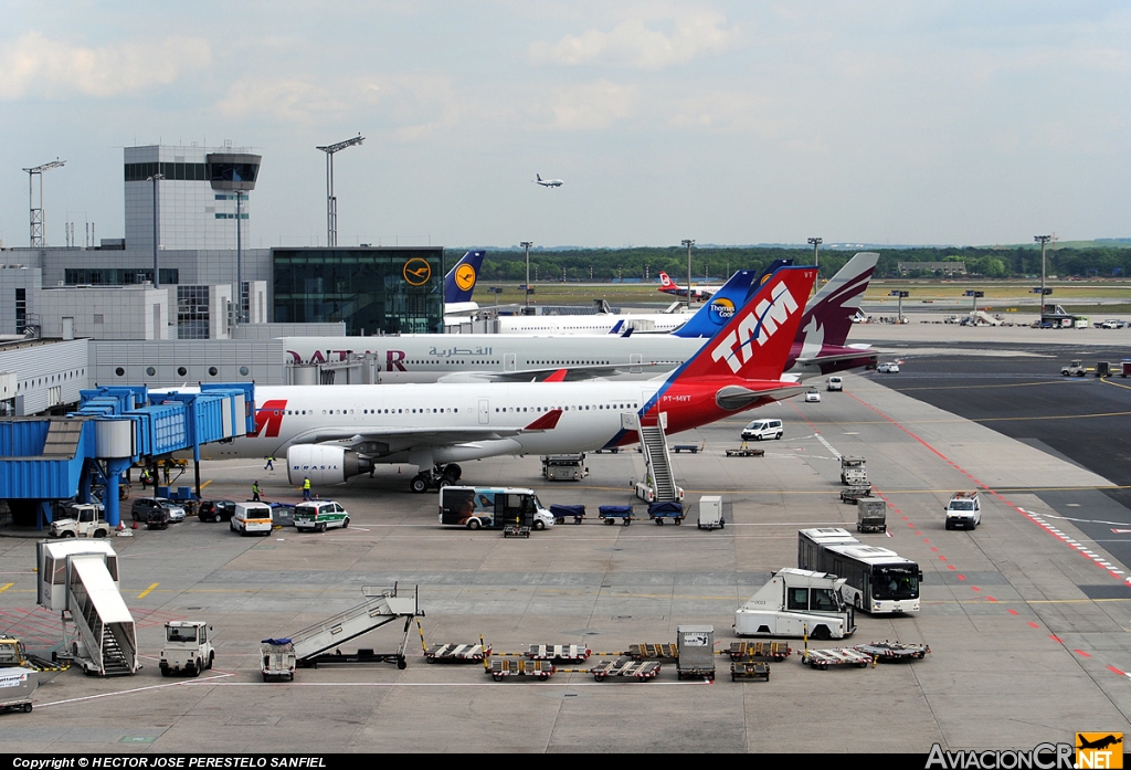  - Terminal - Aeropuerto