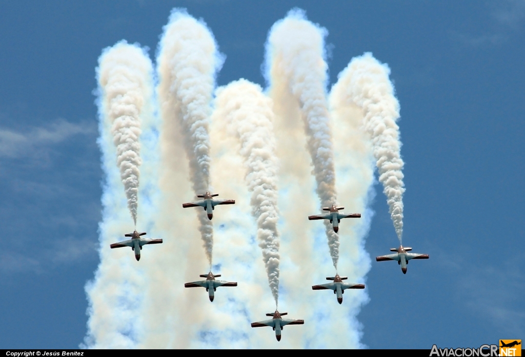 E.25-87 - CASA C-101 Aviojet (E-25) - Ejército del Aire Español