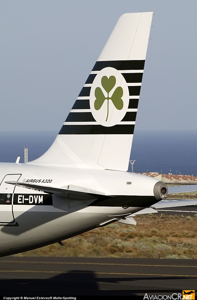EI-DVM - Airbus A320-214 - Aer Lingus