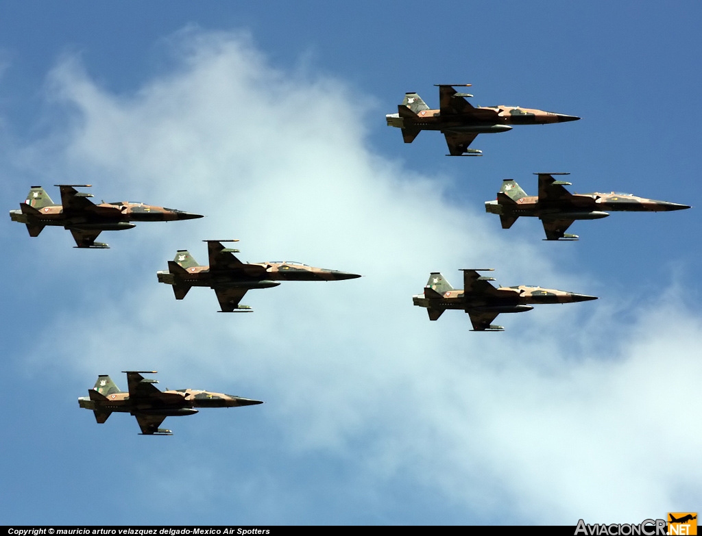 4506 - Northrop F-5E Tiger II - Fuerza Aerea Mexicana FAM