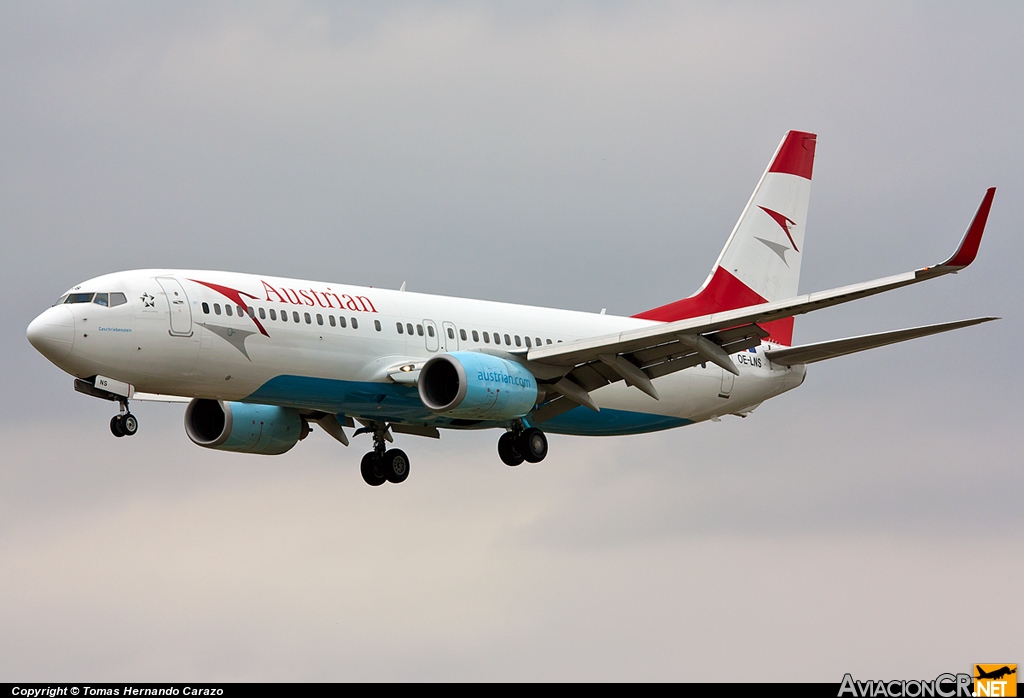 OE-LNS  - Boeing 737-8Z9 - Austrian Airlines