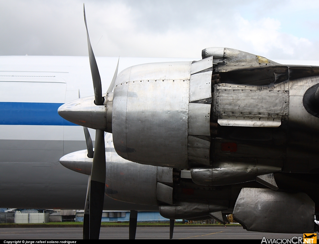 N70BF - Douglas DC-6 (C-118/R6D/Liftmaster) (Genérico) - Florida Air Transport