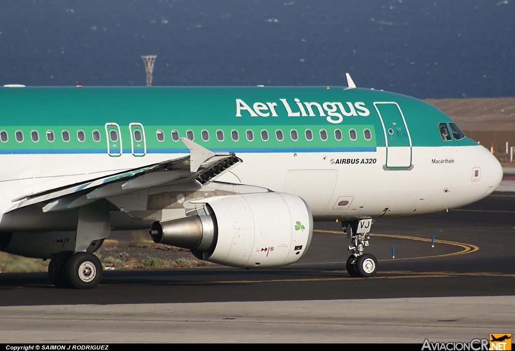 EI-DVJ - Airbus A320-214 - Aer Lingus