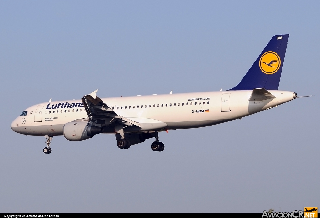 D-AIQM - Airbus A320-211 - Lufthansa