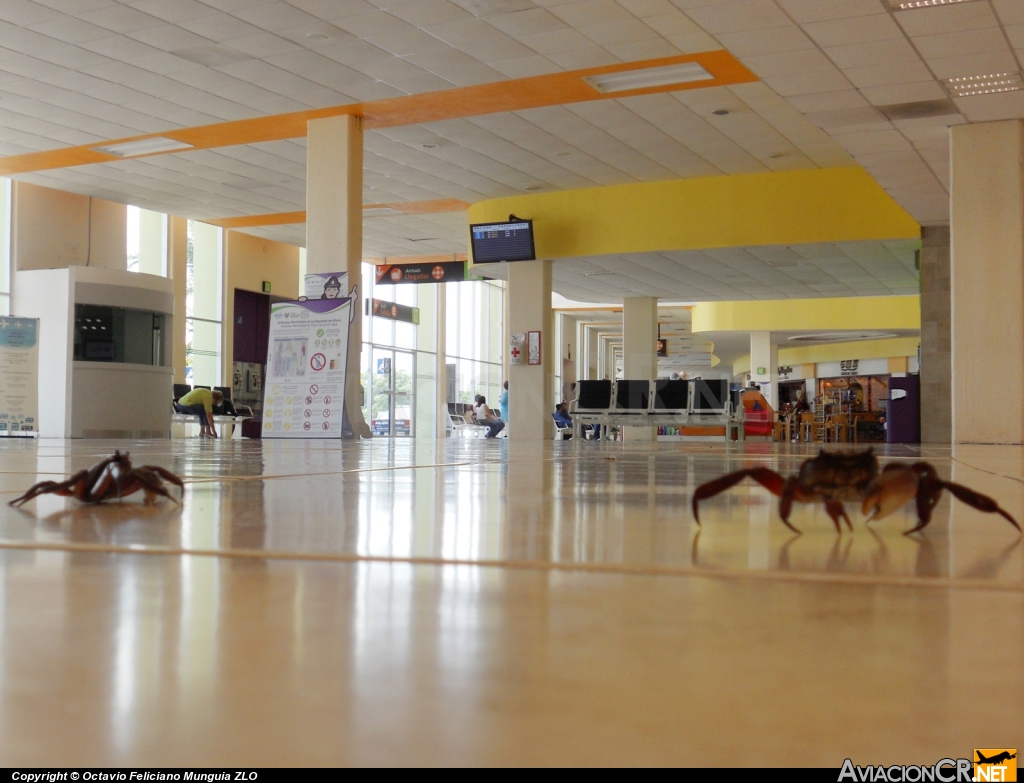 MMZO - Aeropuerto - Aeropuerto