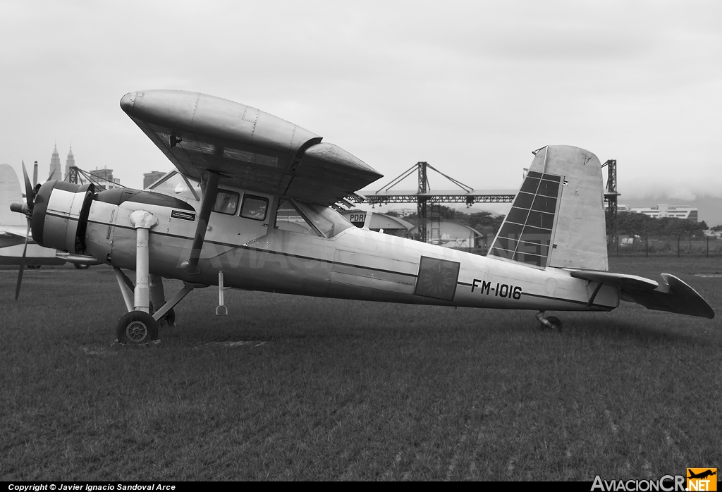 FM-1016 - Scottish Aviation Pioneer2 - Malaysia - Air Force