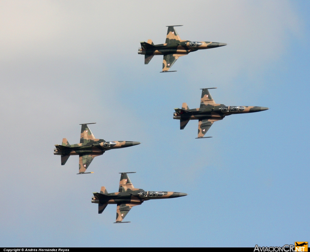 4507 - Northrop F-5E Tiger II - Fuerza Aerea Mexicana FAM