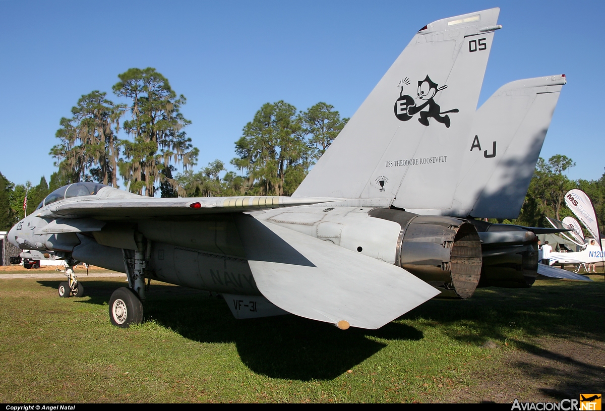 159619 - Grumman F-14D Tomcat - Privado