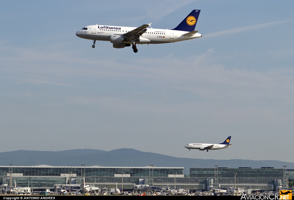 D-AILR - Airbus A319-114 - Lufthansa