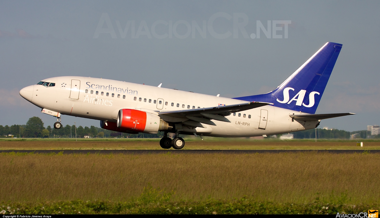 LN-RPH - Boeing 737-683 - Scandinavian Airlines (SAS)