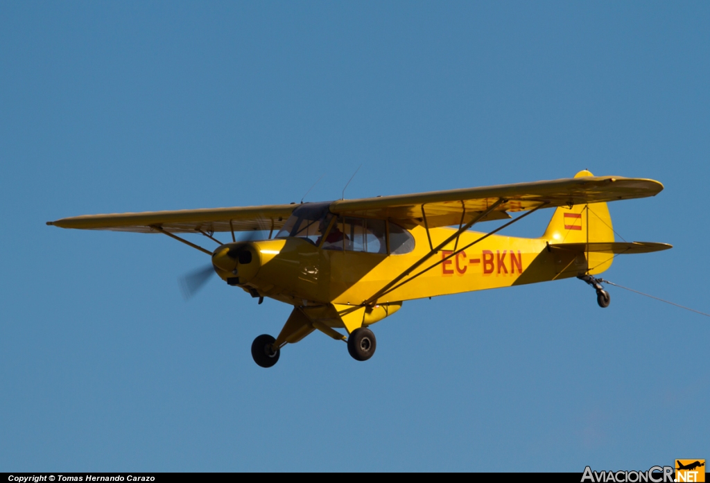 EC-BKN - Piper PA-18-150 Super Cub - TAVISA