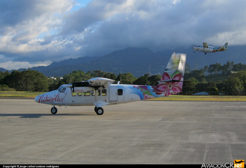 TI-BDZ - De Havilland Canada DHC-6-300 Twin Otter/VistaLiner - Nature Air