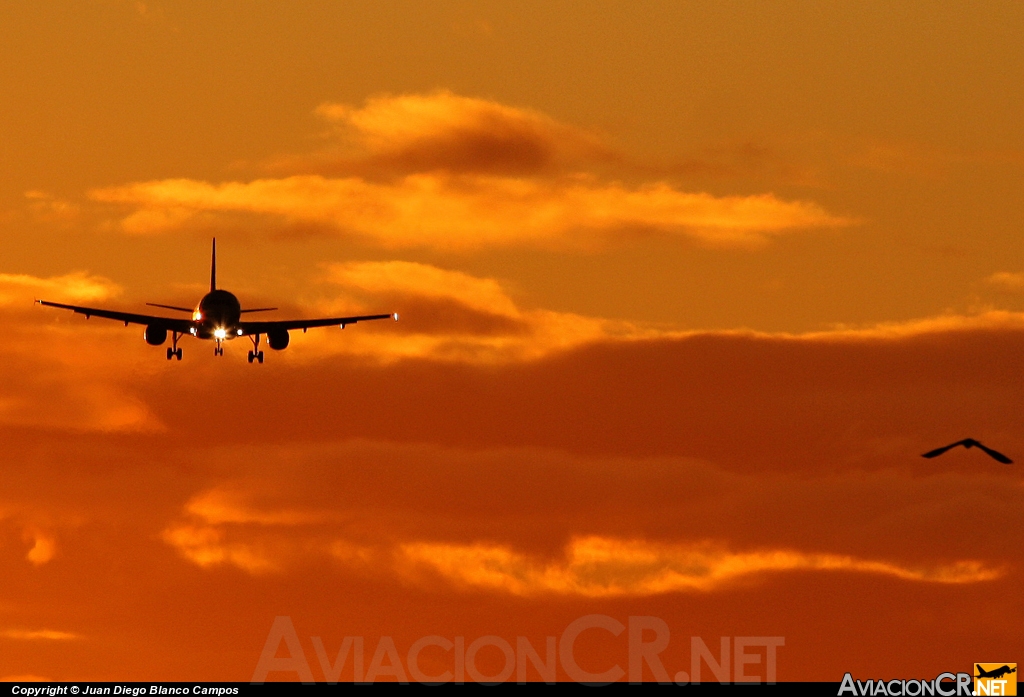 N683TA - Airbus A320-233 - TACA