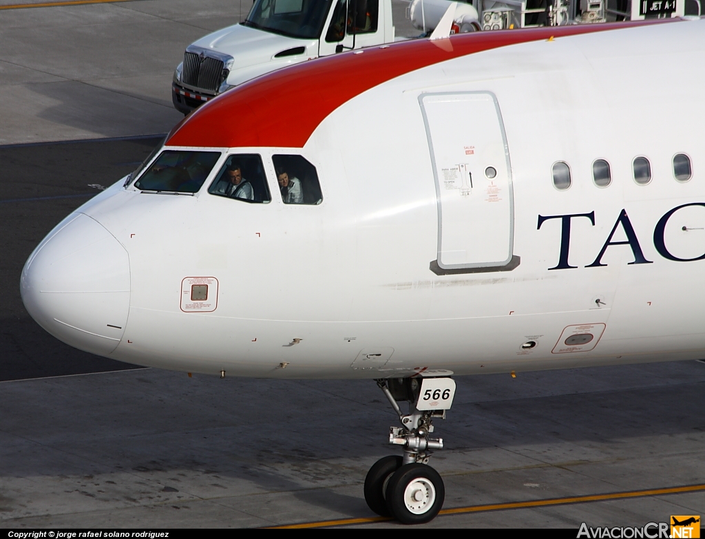 N566TA - Airbus A321-231 - TACA
