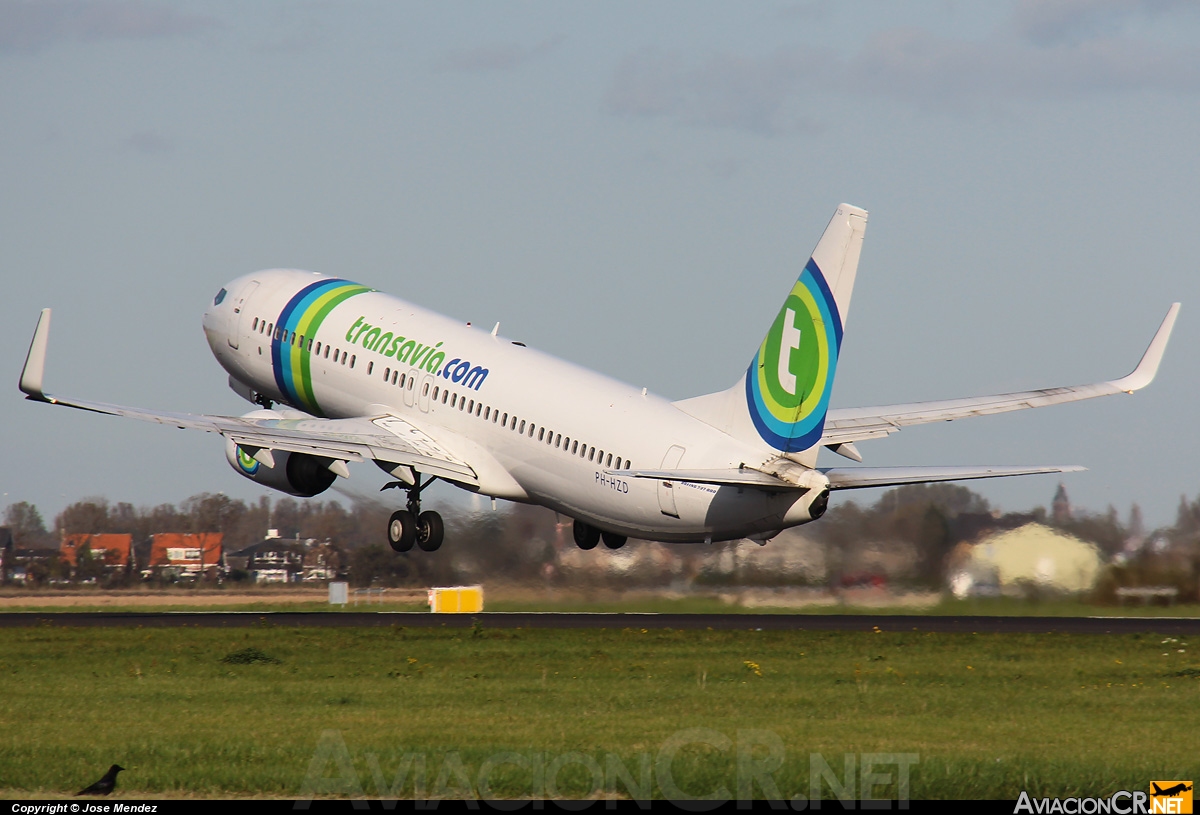 PH-HZD - Boeing 737-8K2 - Transavia Airlines