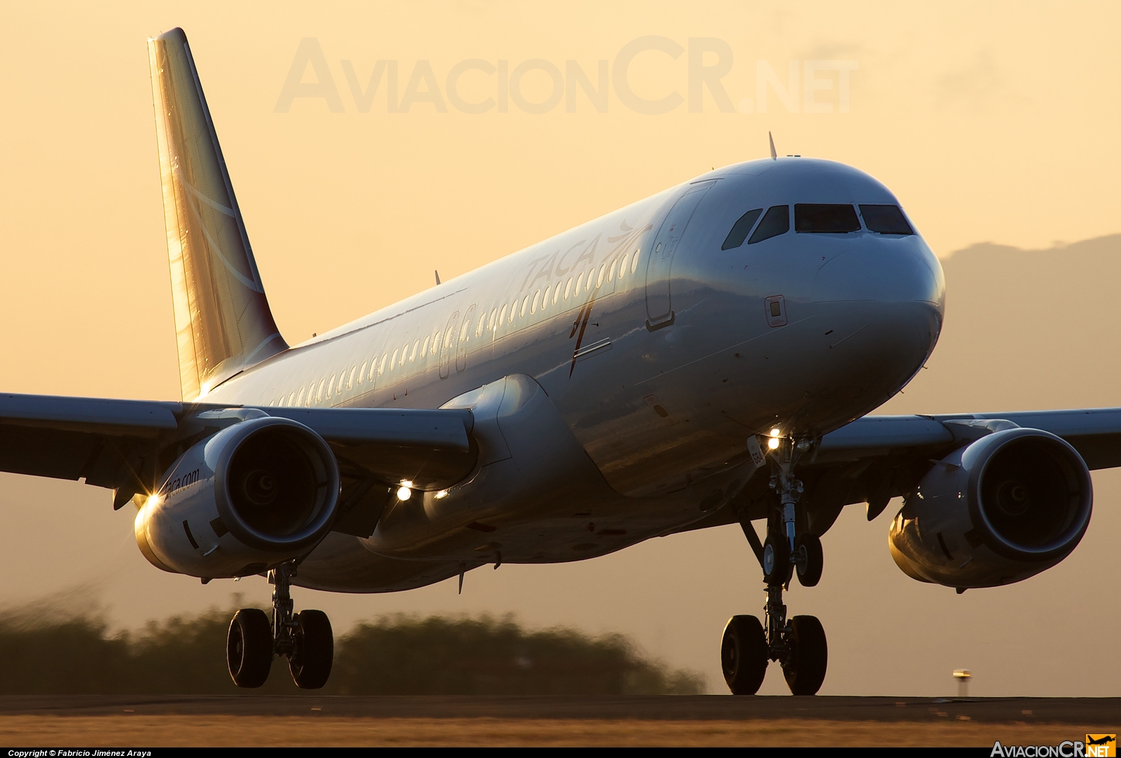N684TA - Airbus A320-233 - TACA