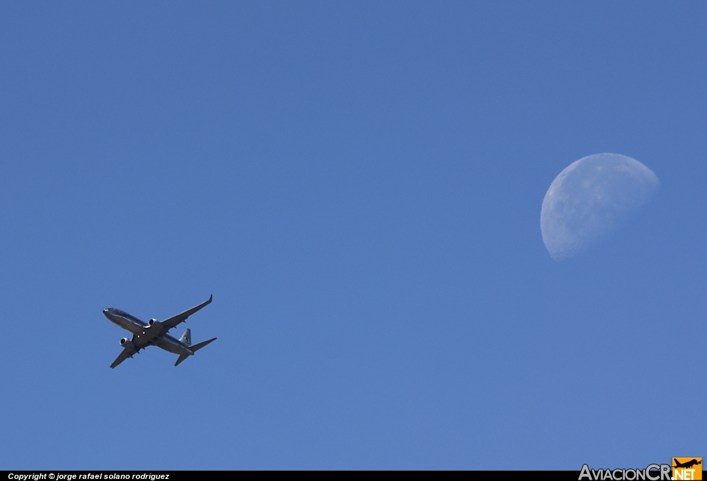 N951AA - Boeing 737-823 - American Airlines