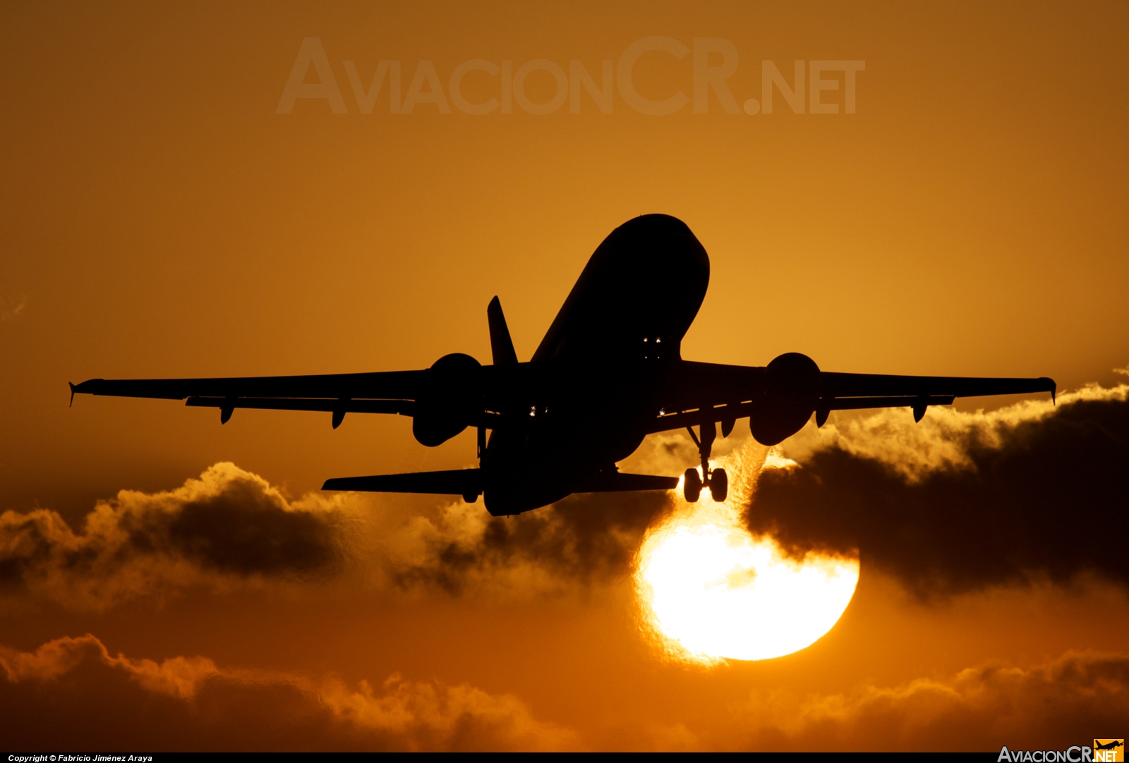 N480TA - Airbus A319-132 - TACA