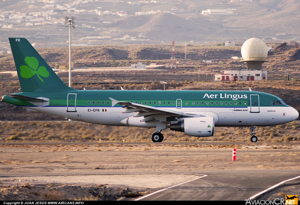 EI-EPR - Airbus A319-111 - Aer Lingus