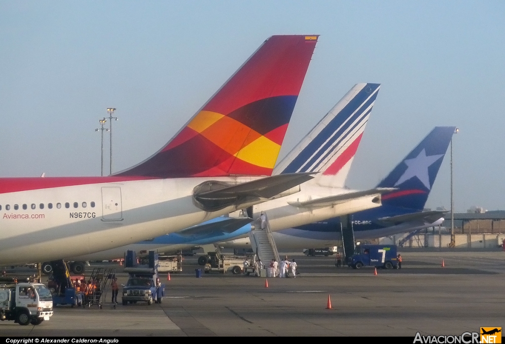 N967CG - Airbus A330-243 - Avianca Colombia