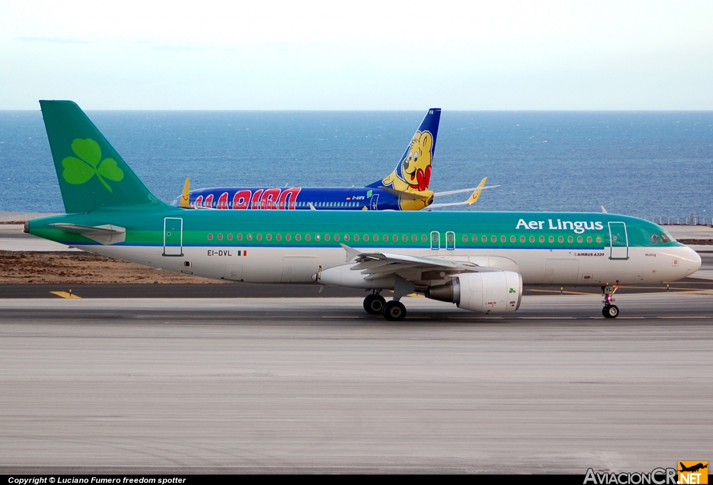 EI-DVL - Airbus A320-214 - Aer Lingus