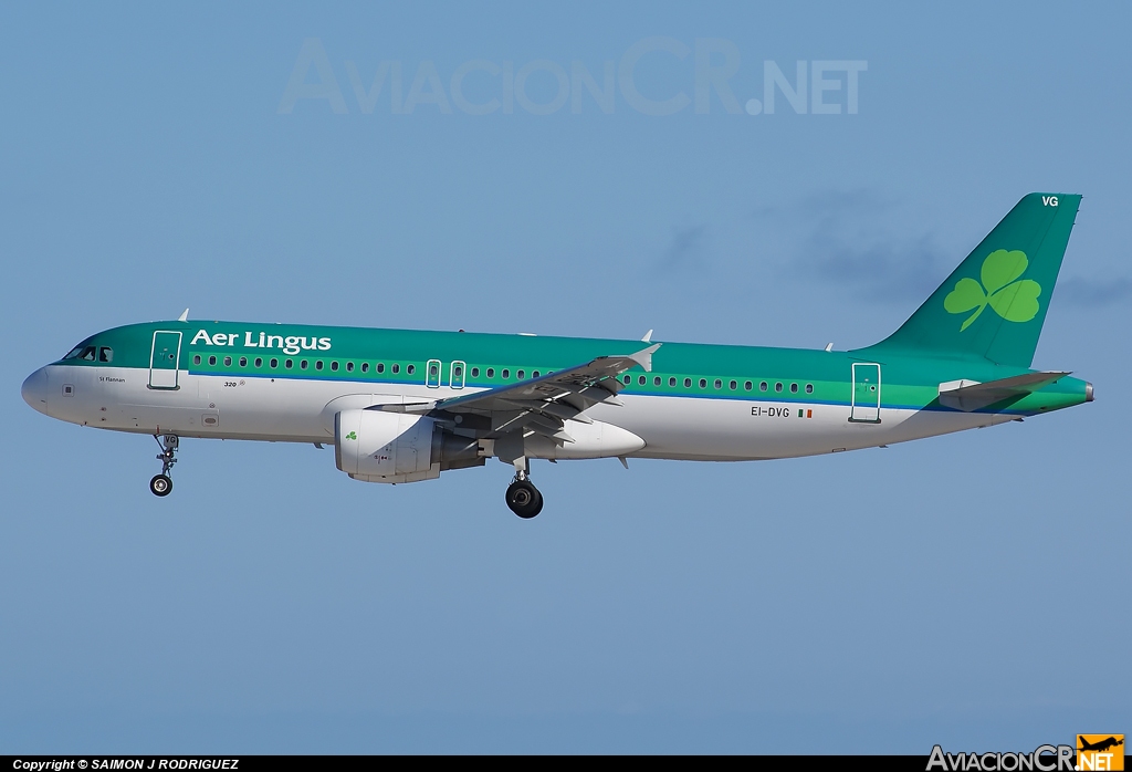 EI-DVG - Airbus A320-214 - Aer Lingus