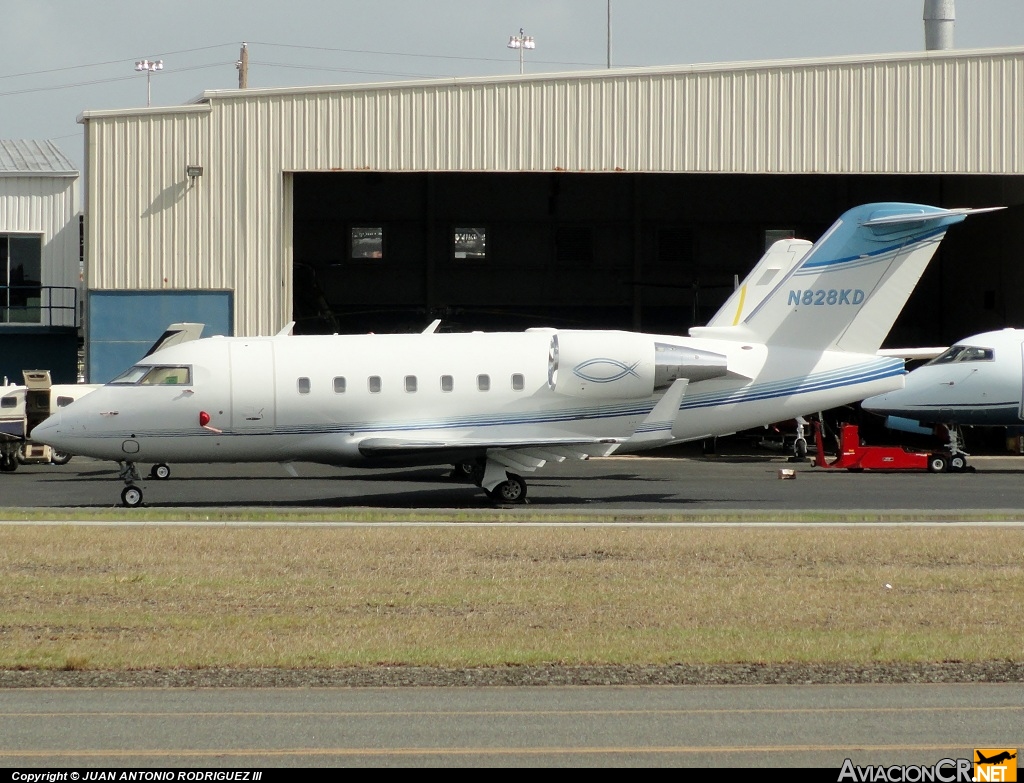 N828KD - Bombardier Challenger 604 (CL-600-2B16) - Privado